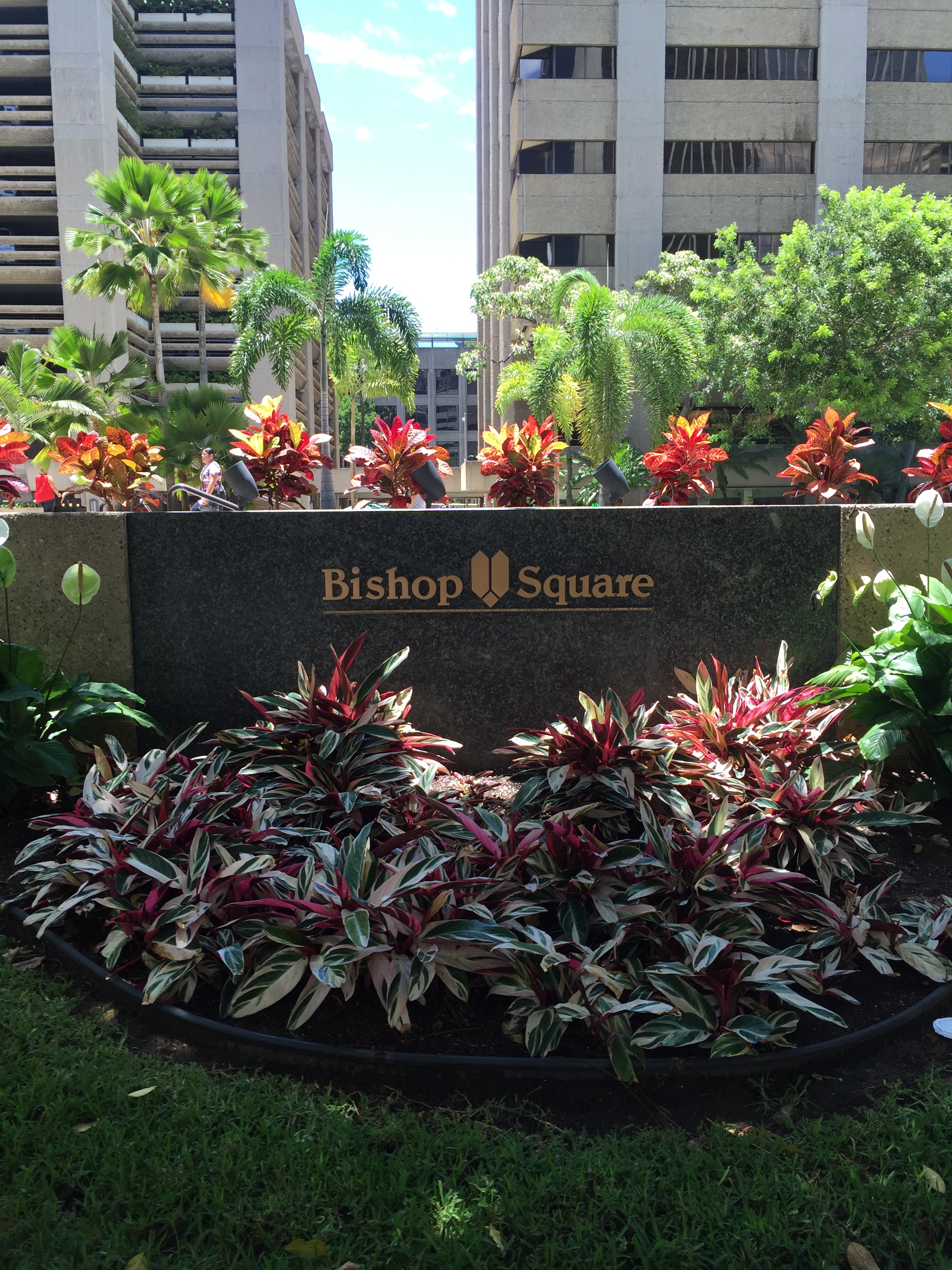 bishop square 002